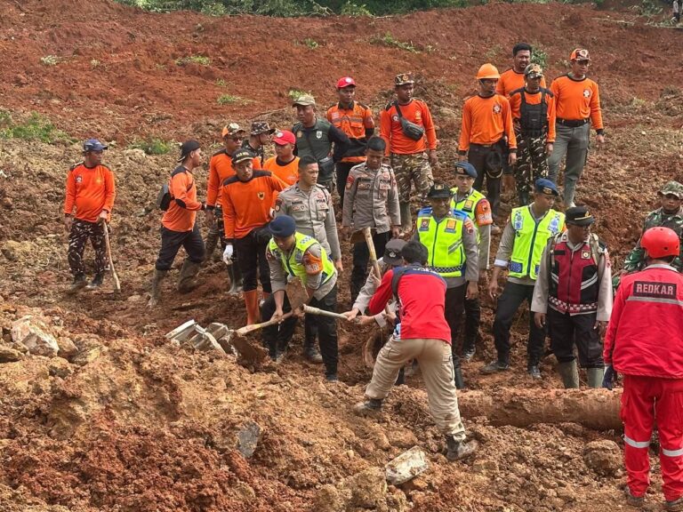 WhatsApp Image 2025-11-14 at 13.14.38 (1)