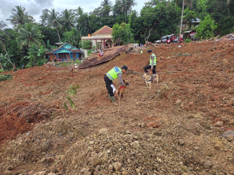 WhatsApp Image 2025-11-15 at 17.18.26