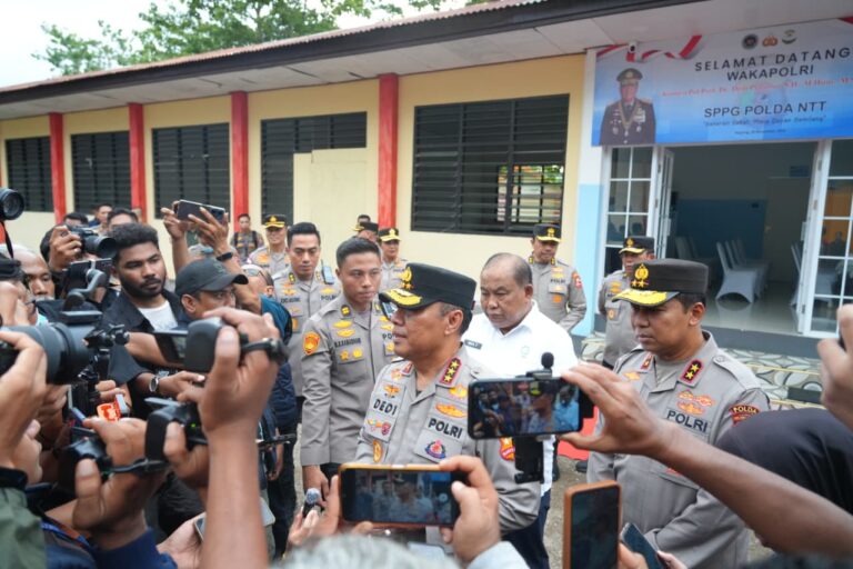 WhatsApp Image 2025-11-29 at 22.16.12