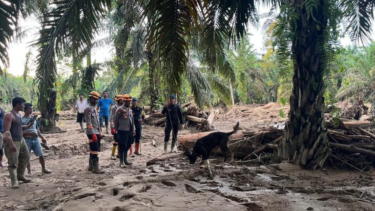 WhatsApp Image 2025-12-03 at 11.16.10