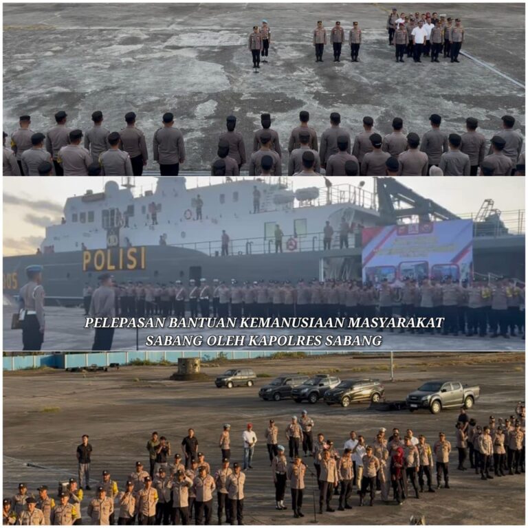 WhatsApp Image 2025-12-03 at 13.22.30 (2)