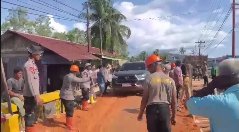 WhatsApp Image 2025-12-03 at 17.07.03