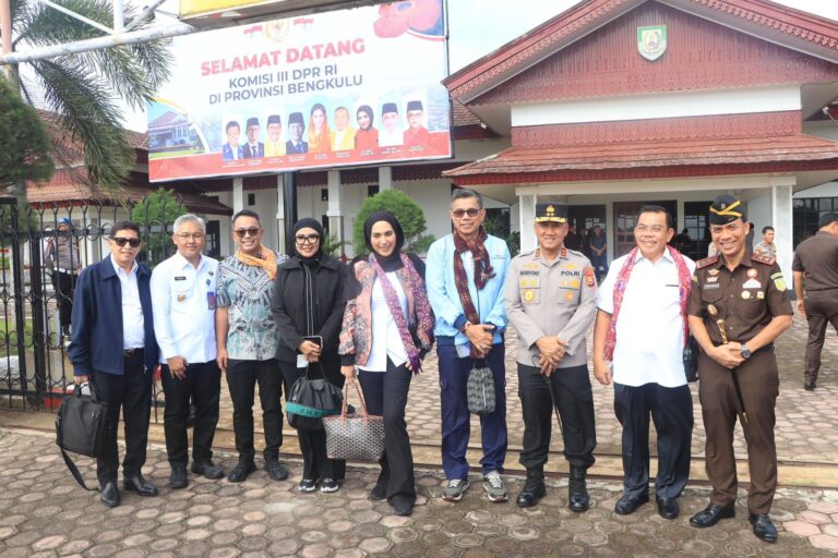 WhatsApp Image 2025-12-11 at 16.45.36