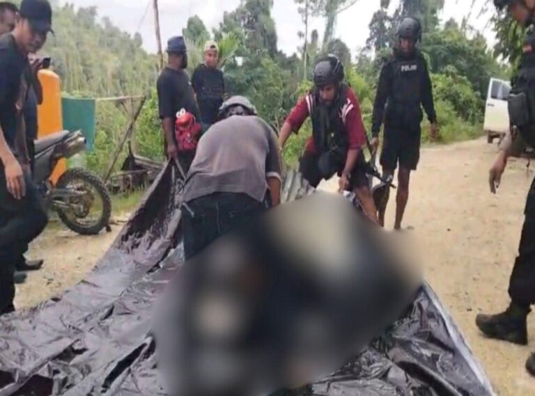Dua Korban Tewas dalam Penyerangan di Pos Pengamanan PT Kristal Nabire, Satgas Ops Damai Cartenz Lakukan Penyelidikan Mendalam