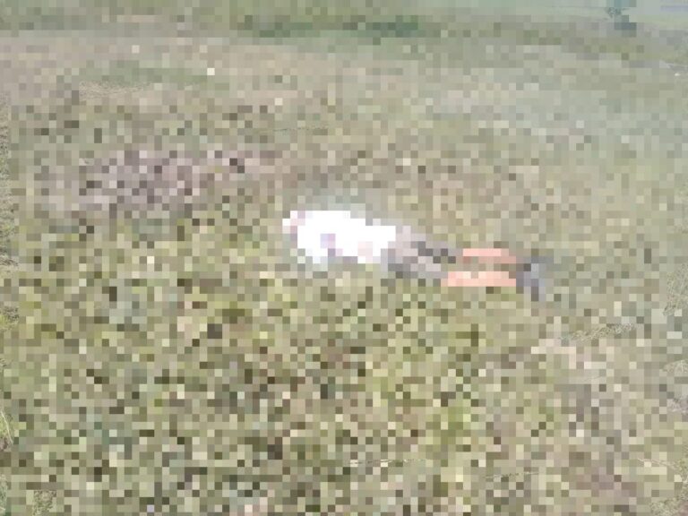 Duka di Korowai : Pesawat Perintis Ditembaki Usai Parkir, Dua Awak Jadi Korban