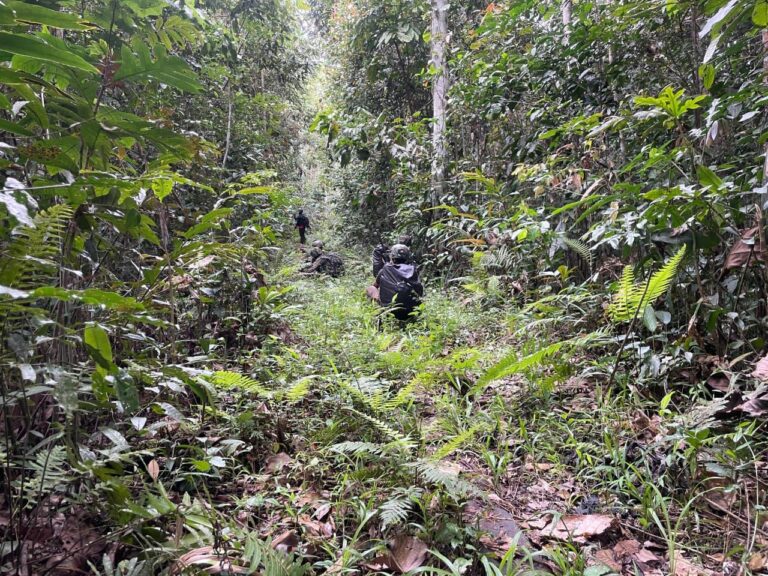 Aparat Gabungan TNI–Polri Tindak Anggota KKB Pimpinan Aibon Kogoya di Bukit Signal Nabire