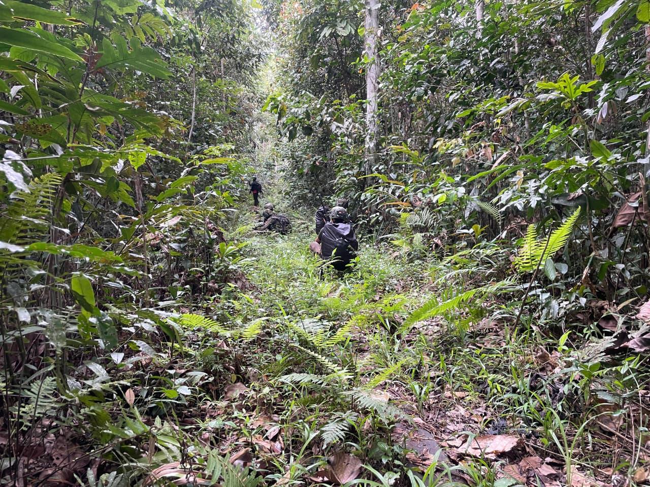 Aparat Gabungan TNI–Polri Tindak Anggota KKB Pimpinan Aibon Kogoya di Bukit Signal Nabire