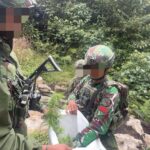 Tim Gabungan Satgas Damai Cartenz, Polres Pegunungan Bintang dan TNI Temukan Ladang Ganja dalam Patroli Taktis